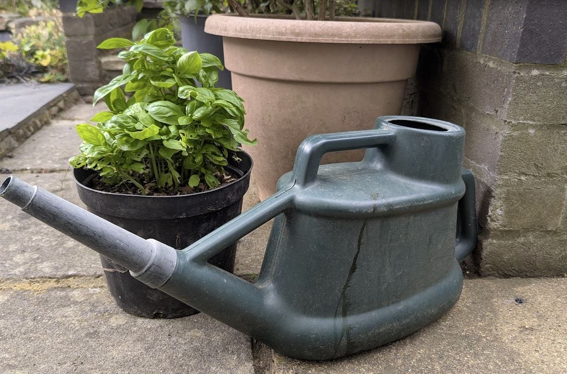 How woody prunings, an old curtain and sheeps’ wool help with watering your garden